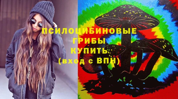 прущий лед Белокуриха
