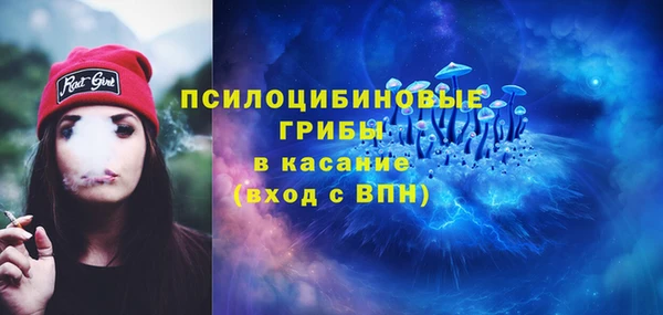 прущий лед Белокуриха